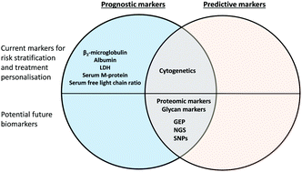 Graphical abstract: Current and future biomarkers for risk-stratification and treatment personalisation in multiple myeloma
