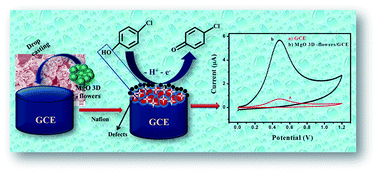 Graphical abstract: High surface area 3D-MgO flowers as the modifier for the working electrode for efficient detection of 4-chlorophenol