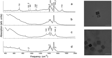 Graphical abstract: Uncovering the mystery of ferroelectricity in zero dimensional nanoparticles