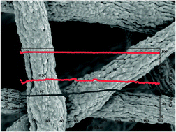 Graphical abstract: The fabrication of a 3D current collector with bitter melon-like TiO2–NCNFs for highly stable lithium–sulfur batteries