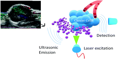 Graphical abstract: pH-responsive targeted gold nanoparticles for in vivo photoacoustic imaging of tumor microenvironments