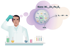 Graphical abstract: Nanosized (Ni1−xZnx)Fe2O4 for water oxidation