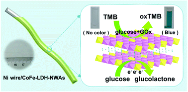 Graphical abstract: A bifunctional nonenzymatic flexible glucose microsensor based on CoFe-Layered double hydroxide