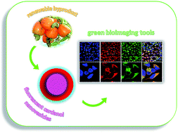 Graphical abstract: A green method for the production of an efficient bioimaging nanotool