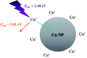 Graphical abstract: Thermal effects on the surface plasmon resonance of Cu nanoparticles in phosphate glass: impact on Cu+ luminescence