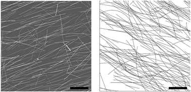 Graphical abstract: Percolation in networks of 1-dimensional objects: comparison between Monte Carlo simulations and experimental observations