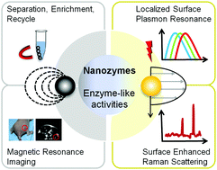 Graphical abstract: Multifunctional nanozymes: enzyme-like catalytic activity combined with magnetism and surface plasmon resonance