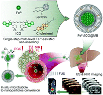 Graphical abstract: A single-step multi-level supramolecular system for cancer sonotheranostics