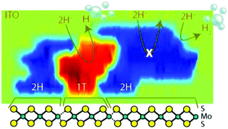 Graphical abstract: Nanoscale mapping of hydrogen evolution on metallic and semiconducting MoS2 nanosheets