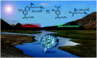 Graphical abstract: Photocleavable antimicrobial peptide mimics for precluding antibiotic resistance