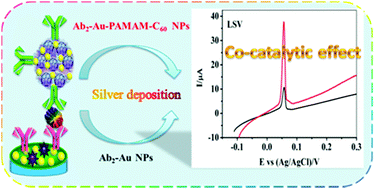 Graphical abstract: An ultrasensitive electrochemical immunosensor based on C60-modified polyamidoamine dendrimers and Au NPs for co-catalytic silver deposition