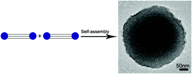 Graphical abstract: Self-assembling bolaamphiphile-like collagen mimetic peptides