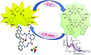 Graphical abstract: Dicarbohydrazide based chemosensors for copper and cyanide ions via a displacement approach