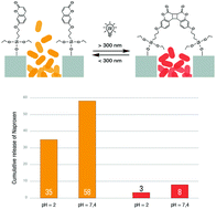 Graphical abstract: Photo-switchable nanoporous silica supports for controlled drug delivery