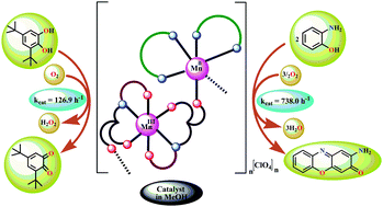 Graphical abstract: The first alternating MnII–MnIII 1D chain: structure, magnetic properties and catalytic oxidase activities