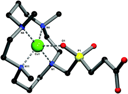 Graphical abstract: Optimization of the selectivity and rate of copper radioisotope complexation: formation and dissociation kinetic studies of 1,4,8-trimethylcyclam-based ligands with different coordinating pendant arms