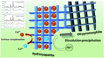 Graphical abstract: Tailoring the structural and morphological properties of hydroxyapatite materials to enhance the capture efficiency towards copper(ii) and lead(ii) ions