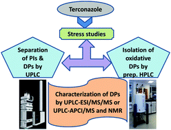 Graphical abstract: Development of a stability-indicating UPLC method for terconazole and characterization of the acidic and oxidative degradation products by UPLC-Q-TOF/MS/MS and NMR