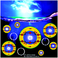 Graphical abstract: A study on the transfer of photo-excited charge carriers within direct and inverted type-I heterojunctions of CdS and ZnS QDs