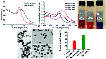 Graphical abstract: pH and molecular weight dependence of auric acid reduction by polyethylenimine and the gene transfection efficiency of cationic gold nanoparticles thereof