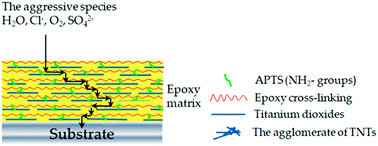 Graphical abstract: Modification of TiO2 nanotubes with 3-aminopropyl triethoxysilane and its performances in nanocomposite coatings