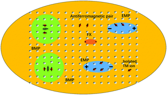 Graphical abstract: Spin-induced magnetic anisotropy in novel Co-doped GaN nanoneedles and their related photoluminescence