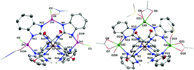Graphical abstract: A metalloligand appended with benzimidazole rings: tetranuclear [CoZn3] and [CoCd3] complexes and their catalytic applications