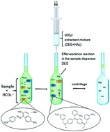 Graphical abstract: Green effervescence assisted dispersive liquid–liquid microextraction based on a hydrophobic deep eutectic solvent for determination of Sunset Yellow and Brilliant Blue FCF in food samples