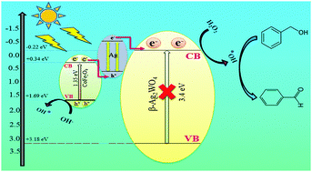 Graphical abstract: Novel nanomagnetic Ag/β-Ag2WO4/CoFe2O4 as a highly efficient photocatalyst under visible light irradiation