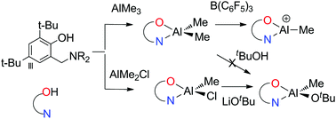 Graphical abstract: Synthesis and characterization of neutral and cationic aluminum complexes supported by a furfuryl-containing aminophenolate ligand for ring-opening polymerization of ε-caprolactone