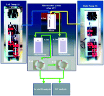 Graphical abstract: Optimization and intensification of hydrosilylation reactions using a microreactor system