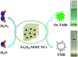 Graphical abstract: Synthesis of well-dispersed Fe3O4 nanoparticles loaded on montmorillonite and sensitive colorimetric detection of H2O2 based on its peroxidase-like activity