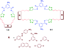 Graphical abstract: Synthesis, photophysical, antibacterial and larvicidal studies on triazolophanes with 5-nitro isophthalate functionality at the intraannular position