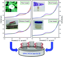 Graphical abstract: Selective recognition of atropine in biological fluids and leaves of Datura stramonium employing a carbon nanotube–chitosan film based biosensor