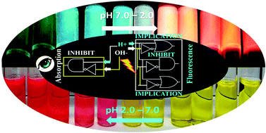 Graphical abstract: Biological perspectives of a FRET based pH-probe exhibiting molecular logic gate operation with altering pH