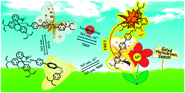 Graphical abstract: Photoswitchable azobenzene–rhodamine tweezers for biosensing of Al3+ ions