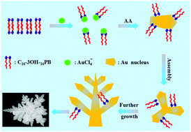 Graphical abstract: Gemini surfactant with pyrrolidinium head groups and a hydroxyl-substituted spacer: surface properties and assisted one-pot synthesis of dendritic Au nanocrystals
