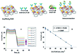 Graphical abstract: New label-free ultrasensitive electrochemical immunosensor-based Au/MoS2/rGO nanocomposites for CA 27-29 breast cancer antigen detection