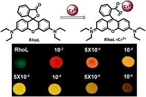 Graphical abstract: A solvatochromic-based sensor for chromium(iii) in real systems
