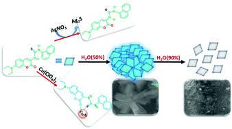 Graphical abstract: Water switched aggregation/disaggregation strategies of a coumarin–naphthalene conjugated sensor and its selectivity towards Cu2+ and Ag+ ions along with cell imaging studies on human osteosarcoma cells (U-2 OS)