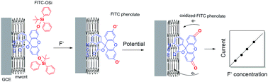 Graphical abstract: An effective electrochemical sensing platform for fluoride ions based on fluorescein isothiocyanate–MWCNT composite