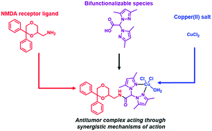 Graphical abstract: Novel antitumor copper(ii) complexes designed to act through synergistic mechanisms of action, due to the presence of an NMDA receptor ligand and copper in the same chemical entity