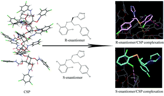 Graphical abstract: Chiral separation and a molecular modeling study of eight azole antifungals on the cellulose tris(3,5-dichlorophenylcarbamate) chiral stationary phase