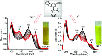 Graphical abstract: β-Carboline–imidazopyridine hybrids: selective and sensitive optical sensors for copper and fluoride ions