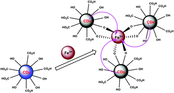 Graphical abstract: Green synthesis of fluorescent carbon dots from Borassus flabellifer flowers for label-free highly selective and sensitive detection of Fe3+ ions