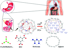 Graphical abstract: (Fe)MIL-100-Met@alginate: a hybrid polymer–MOF for enhancement of metformin's bioavailability and pH-controlled release