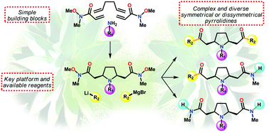 Graphical abstract: The dual reactivity of Weinreb amides applied to the late-stage divergent functionalisation of meso pyrrolidines