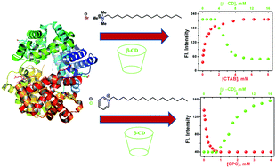 Graphical abstract: Deciphering the role of the head group of cationic surfactants in their binding interactions with heme protein and their release by β-cyclodextrin