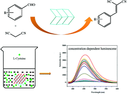 Graphical abstract: Construction of two Zn(ii)/Cd(ii) multifunctional coordination polymers with mixed ligands for catalytic and sensing properties