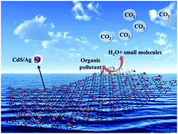 Graphical abstract: Enhanced photocatalytic performance and stability of visible-light-driven Z-scheme CdS/Ag/g-C3N4 nanosheets photocatalyst